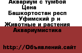 Аквариум с тумбой › Цена ­ 4 500 - Башкортостан респ., Уфимский р-н Животные и растения » Аквариумистика   